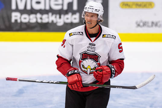 Malmö Redhawks Emil Sylvegård deppar