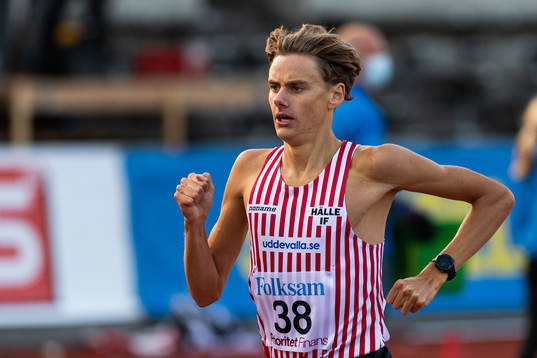 Samuel Pihlström, Hälle IF