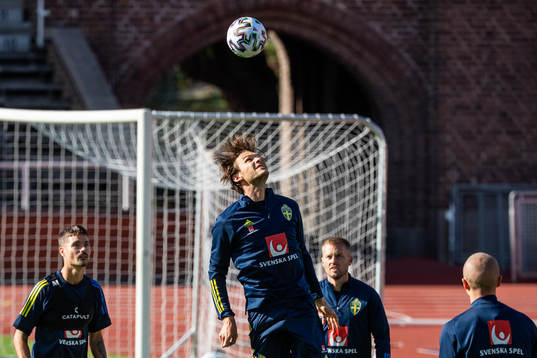 Albon Ekdal of the Swedish national football team