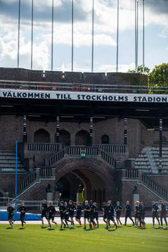 Players of the Swedish national football team