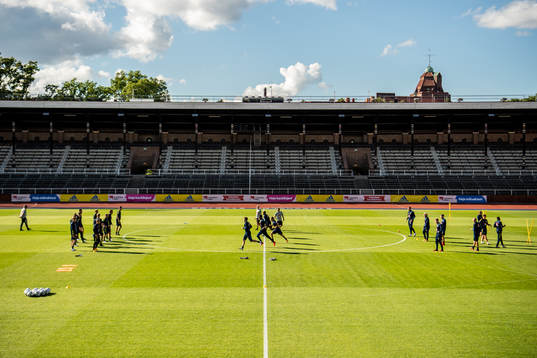 Players of the Swedish national football team