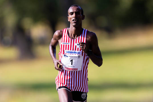 Mustafa Mohamed, Hälle IF