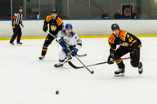 Leksands Emil Heineman och Brynäs Nicklas Danielsson