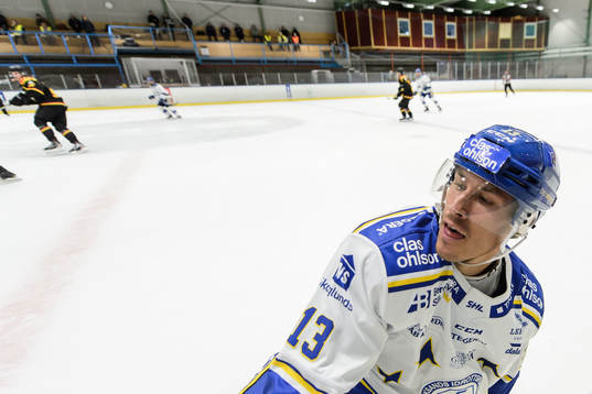 Leksands Jon Knuts