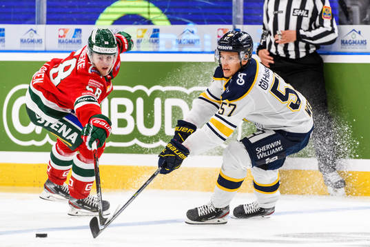 s Anton Wedin