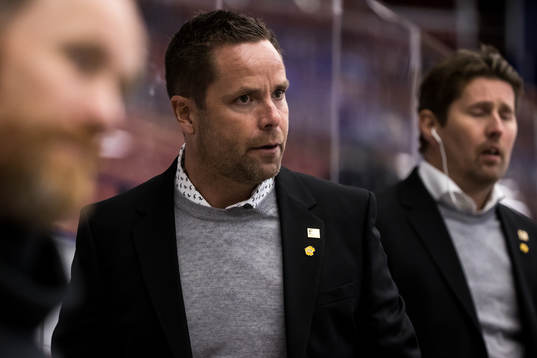 Skellefteås assisterande tränare Stefan Hedlund