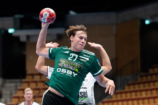 Helsingborgs Johan Palm