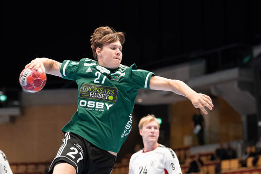 Helsingborgs Johan Palm
