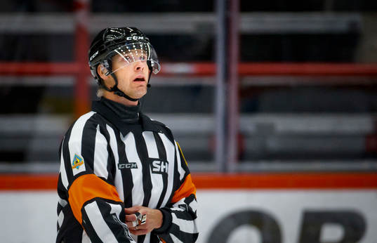 Domare Mikael Andersson