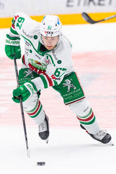 Rögles Leon Bristedt