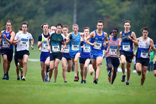 Starten i klasserna P17 och P19, 10 km