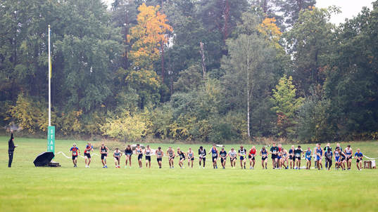 Startfältet i klasserna P17 och P19, 10 km