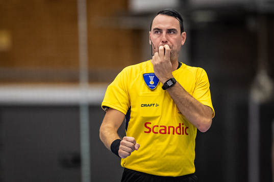Domare Mattias Wetterwik