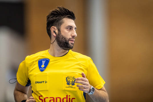 Domare Mirza Kurtagic