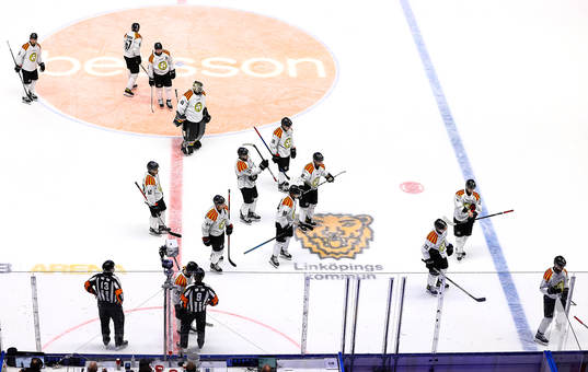 Brynäs spelare deppar
