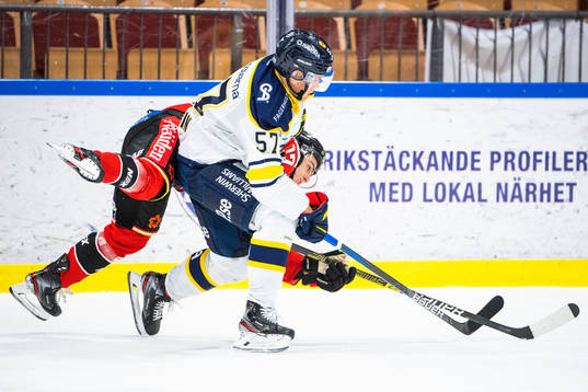 s Anton Wedin