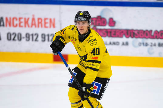 Västerås Isac Skedung
