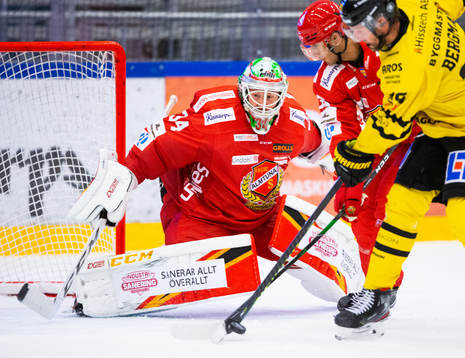 Almtunas målvakt Erik Hanses