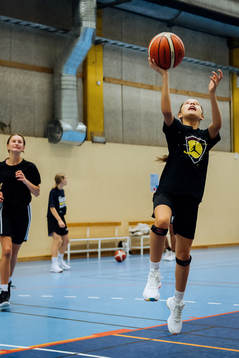 Fryshuset basket