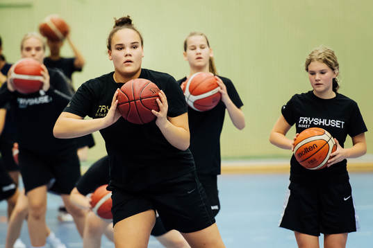 Fryshuset basket