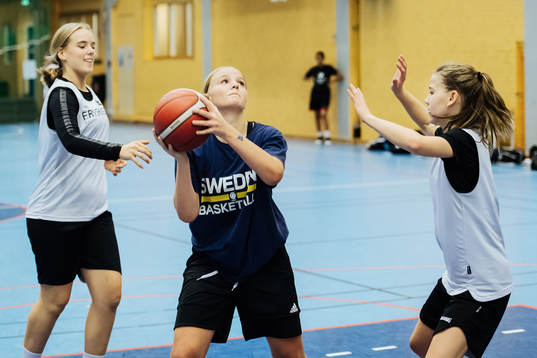Fryshuset basket