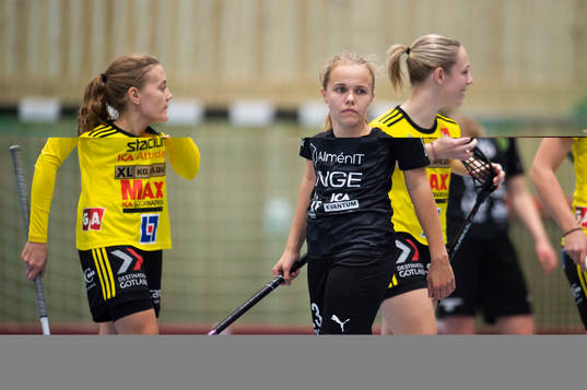 Lunds Tove Efsing deppar