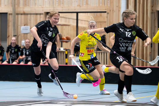 Lunds Mynta Persmark