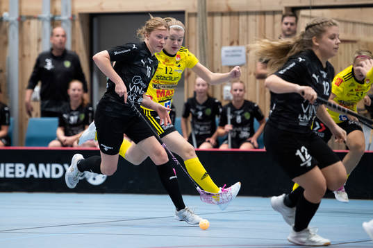 Lunds Mynta Persmark