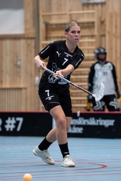 Lunds Hilda Hammer