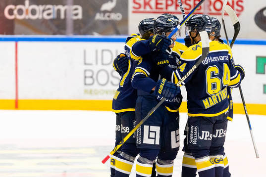 Spelare ur HV71 jublar