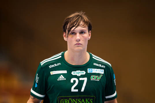 Helsingborgs Johan Palm