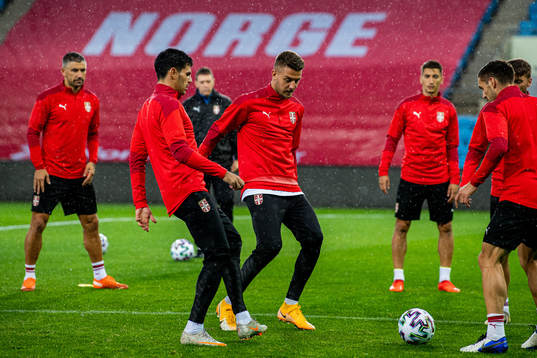 Danijel Aleksić and Sergej Milinkovic-Savic of the Serbian
