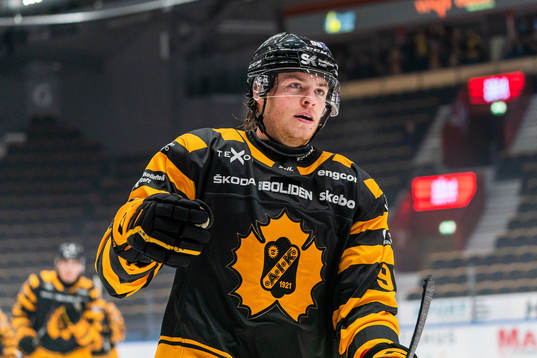Skellefteås Rickard Hugg jublar