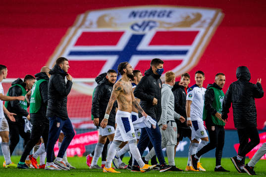 Nemanja Gudelj and players of Serbia