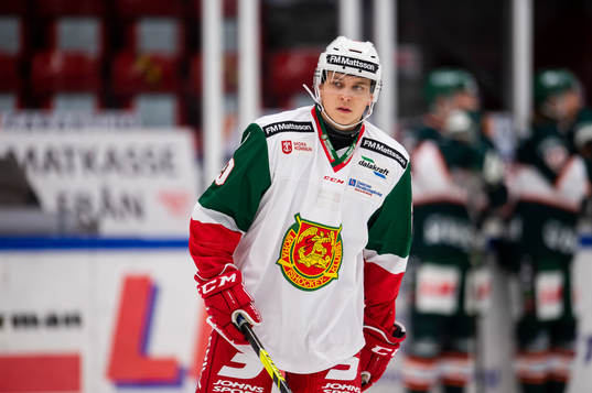 under ishockeymatchen i Hockeyallsvenskan mellan