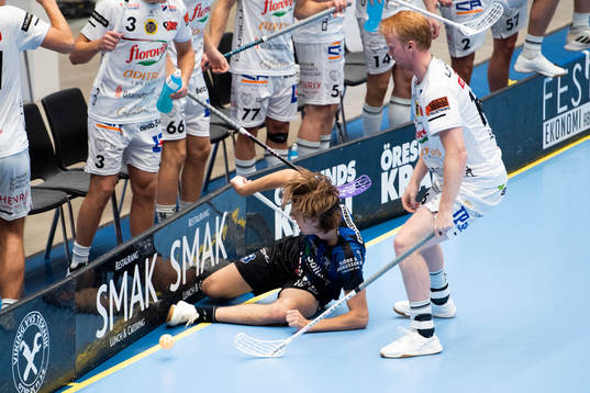 Helsingborgs Fredi Petersson