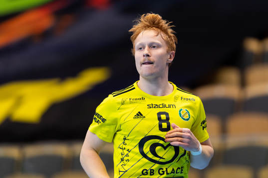 Sävehofs Gustaf Wedberg