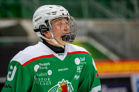 Rögles Viktor Smeds