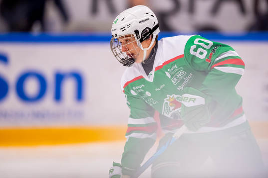 Rögles Viktor Smeds