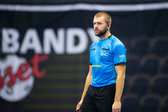 Domare Daniel Hultberg