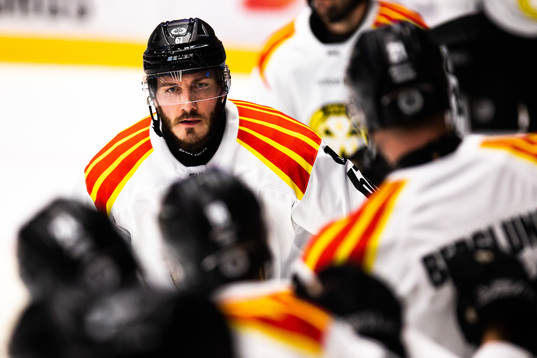 Brynäs John Persson jublar