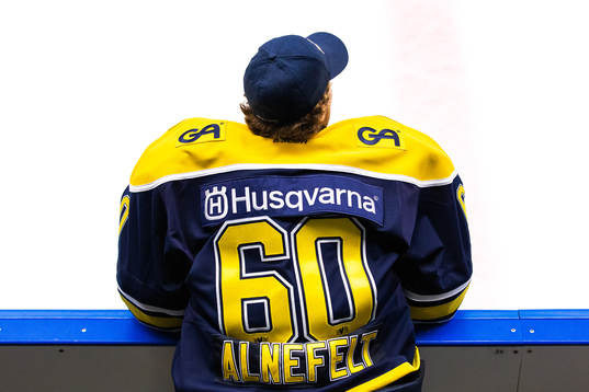 s målvakt Hugo Alnefelt