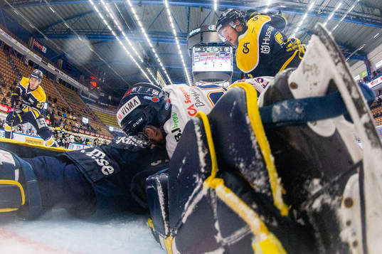 s Daniel Bertov