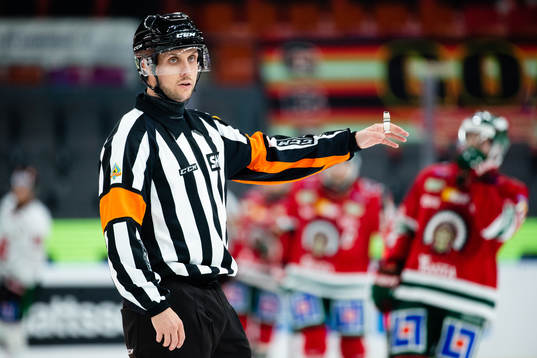 Domare Patric Bjälkander