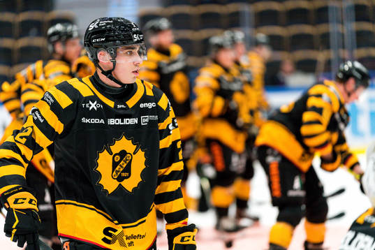 Skellefteås Adam Wilsby