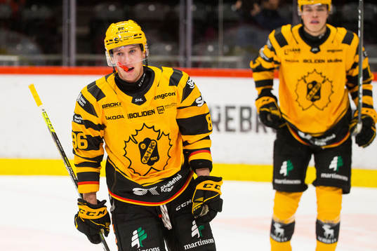 Skellefteås Tyler Morley deppar