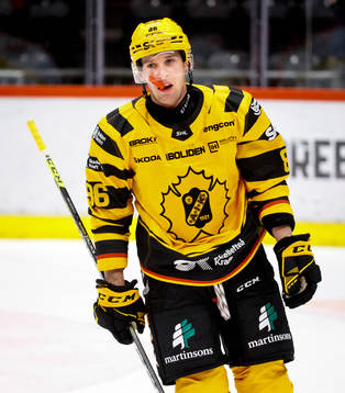 Skellefteås Tyler Morley deppar