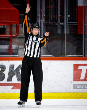 Domare Mikael Holm