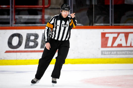 Domare Mikael Holm