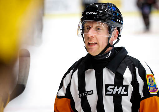 Domare Mikael Holm